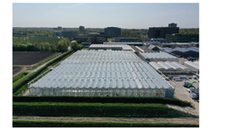 Milei: ¿Silicon Valley o Food Valley? Milei: ¿Silicon Valley o Food Valley?