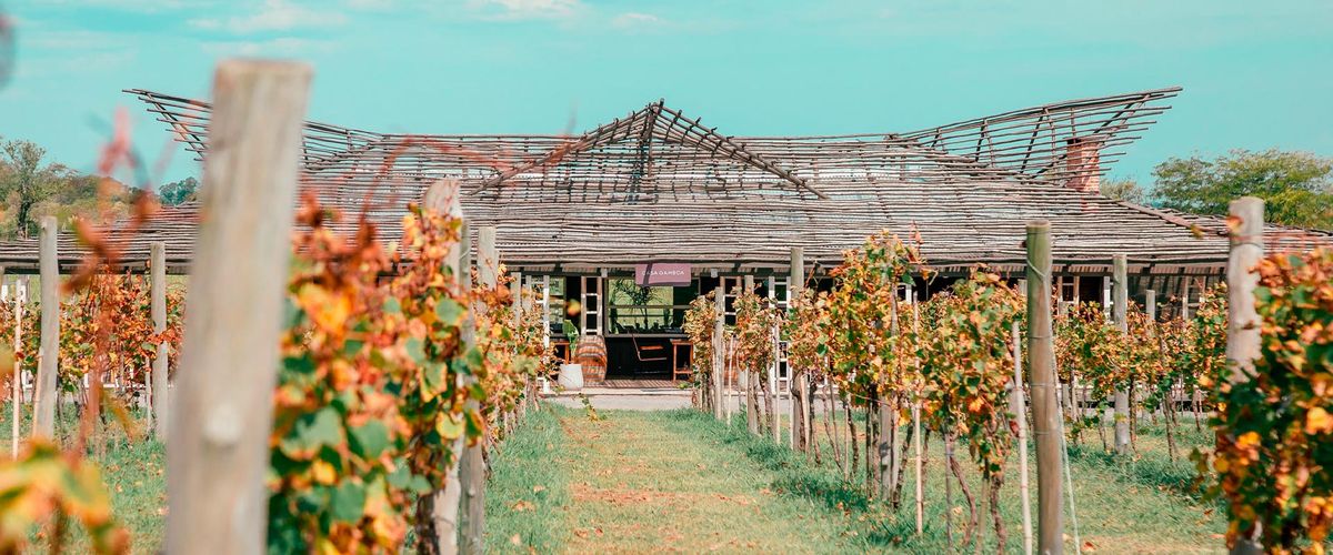 La espectacular bodega de Buenos Aires que muchos visitan.(Foto: Wines of Argentina Blog).