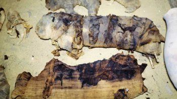 misterio en egipto: gatos momificados y los nombres de 2 mujeres en una falsa puerta misterio en egipto: gatos momificados y los nombres de 2 mujeres en una falsa puerta