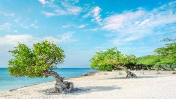 la playa con arboles elegida entre las mejores del mundo la playa con arboles elegida entre las mejores del mundo