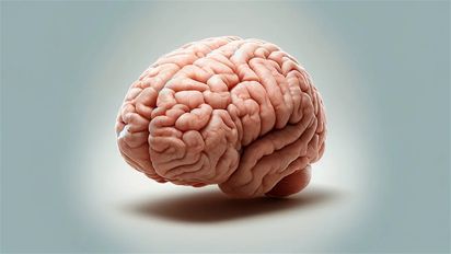 Día Mundial del Cerebro: ¿Por qué se celebra este 22 de julio?