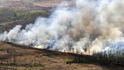 Incendios en el Delta: 6 detenidos