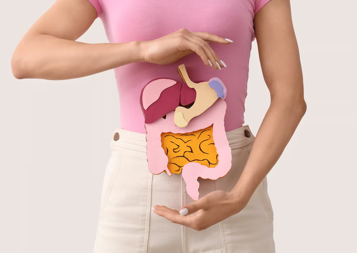 La salud de los intestinos es clave. La salud de los intestinos es clave.