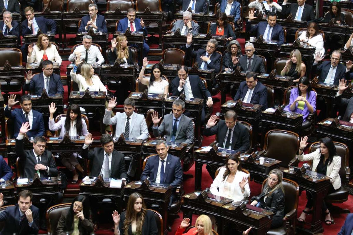 Javier Milei denunció coimeros en el Congreso. ¿...?
