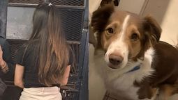 El caso de Coco, el perro que murió en Rosario, generó una ola de indignación en redes sociales contra su dueña, a quien se la tildó de asesina por su descuido.