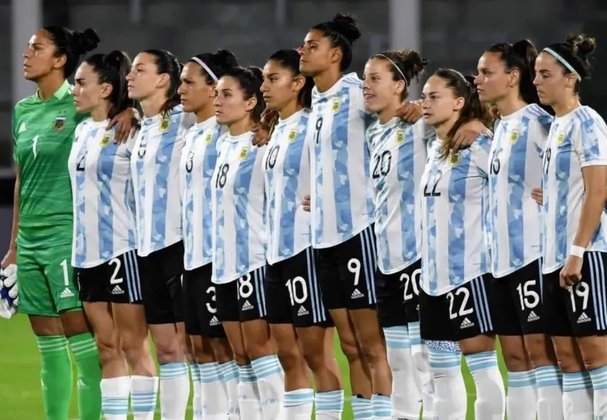 Diseno sin titulo _73_.webp