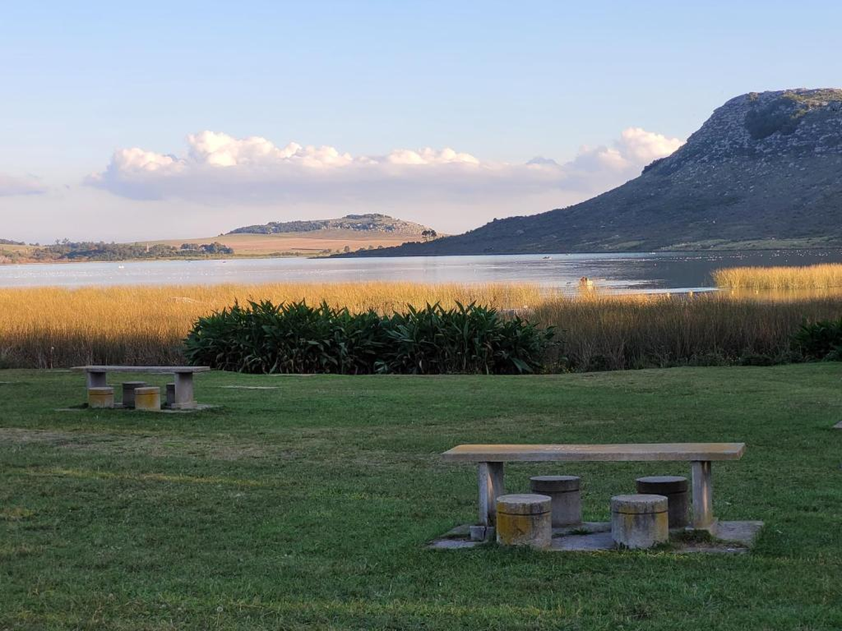 Laguna Brava, en Buenos Aires. Laguna Brava, en Buenos Aires.