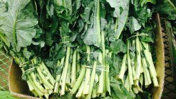 La vitamina K a menudo se encuentra en las verduras de hoja verde.