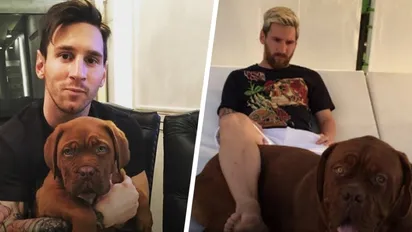 Los perros que acompañan a los grandes del fútbol