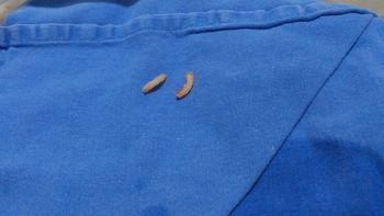 Aquí está la respuesta al enigma. Aquí está la respuesta al enigma.