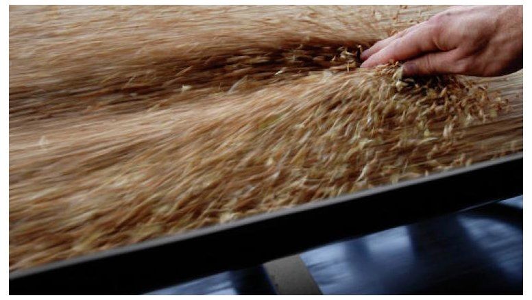 Nera en el nicho de la financiación digital del agro