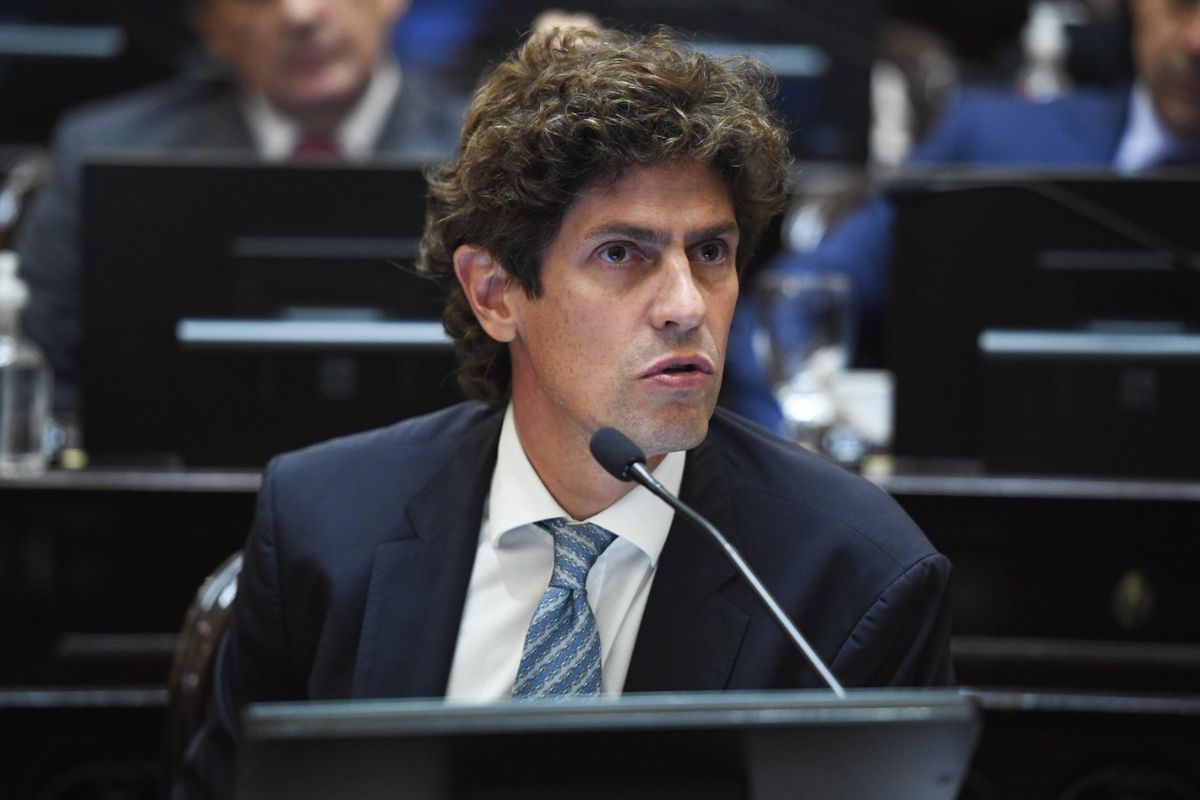 En el Senado, Martín Lousteau, lanzó dura crítica a los cambios en Ganancias En el Senado, Martín Lousteau, lanzó dura crítica a los cambios en Ganancias