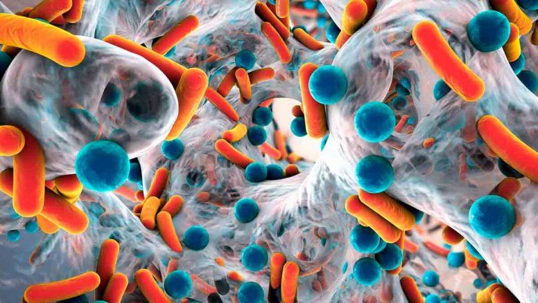 Los microbios intestinales están involucrados en la remisión de la diabetes tipo 2 y buscan voluntarios para probarlo