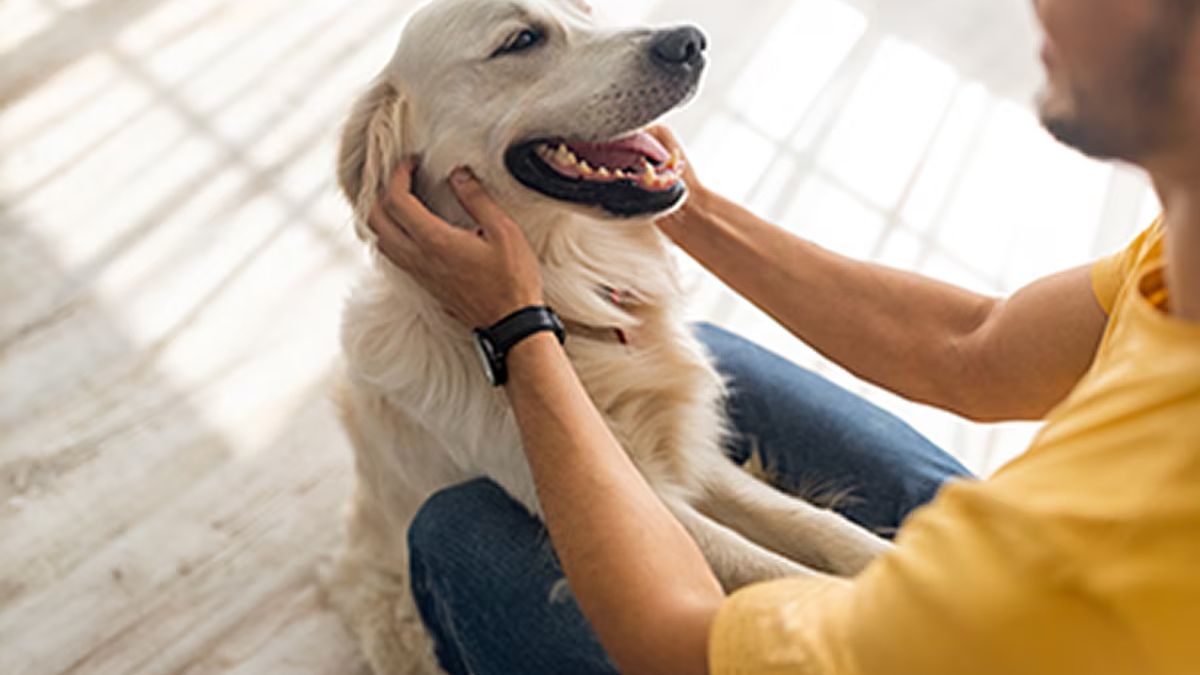 La misión de cuidar a las mascotas en tiempos de crisis derivó a que se ponga en marcha un plan de salud que ayuda a la economía familiar. La misión de cuidar a las mascotas en tiempos de crisis derivó a que se ponga en marcha un plan de salud que ayuda a la economía familiar.