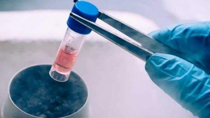 Estudio revela que algunas clínicas de fertilidad generan falsas esperanzas para ganar más clientes
