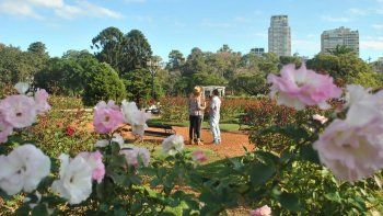 Algunas flores estan a la vista en el Rosedal Algunas flores estan a la vista en el Rosedal
