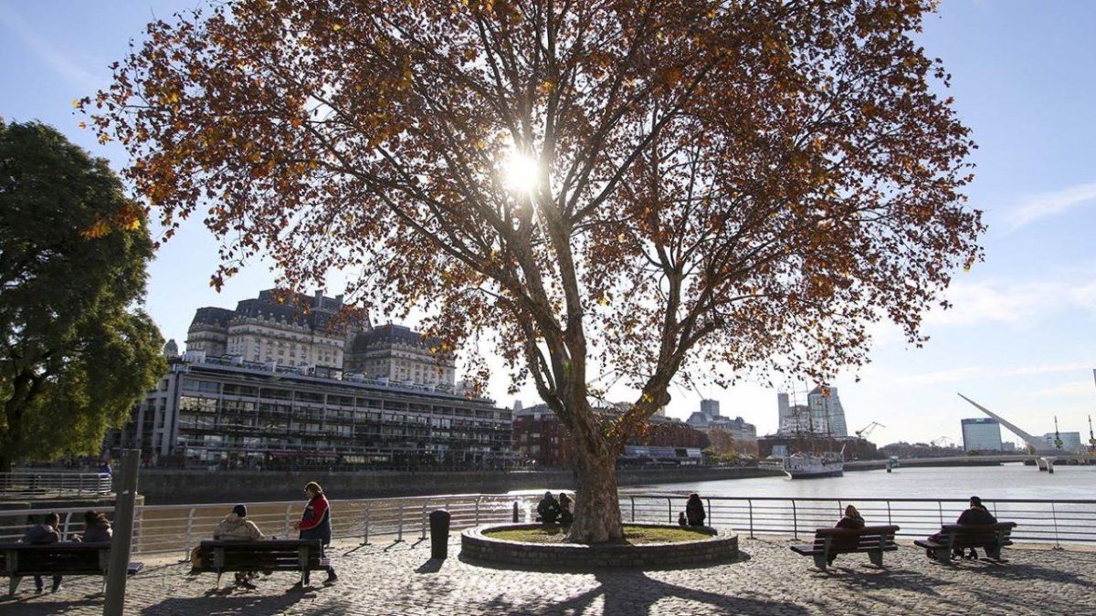 Viernes para caminar en el mediodía de Puerto Madero