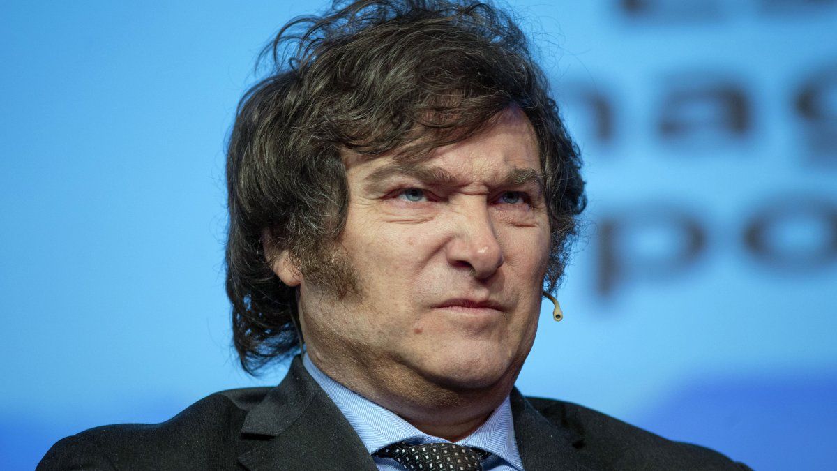 Javier milei. Javier milei