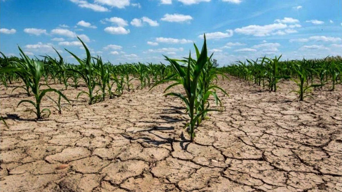 Un detallado informe de CREA muestra como los campos&nbsp; soportan una sequía que parece interminable