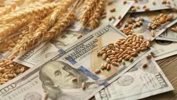 dolar agro a $365 y falsa alarma por exportaciones dolar agro a $365 y falsa alarma por exportaciones