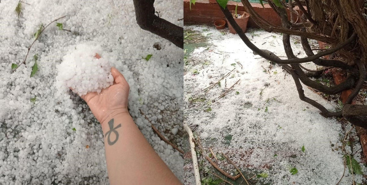 El Niño. El Niño.