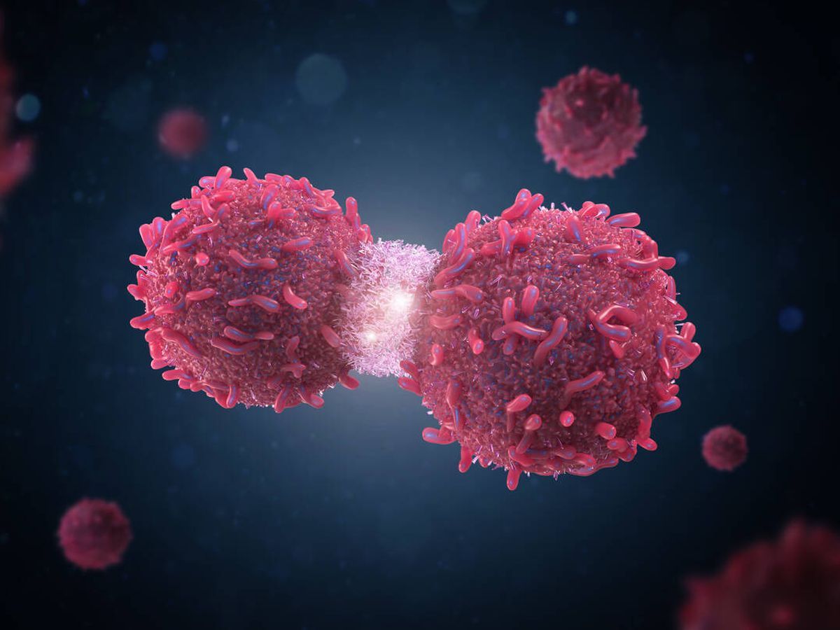 Este es el peligroso vínculo entre los conservantes alimentarios y el cáncer, según estudio.