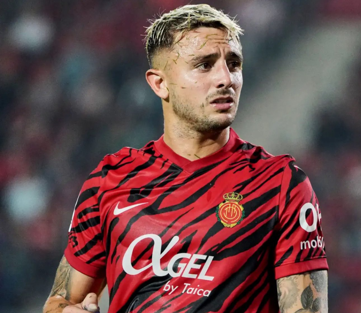 Pablo Maffeo le dijo a Lionel Scaloni que si no lo cita jugará para Italia. Pablo Maffeo le dijo a Lionel Scaloni que si no lo cita jugará para Italia.