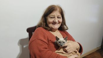 Vivía en soledad, su gata murió viejita y quedó devastada, hasta que llegó una cachorrita igual
