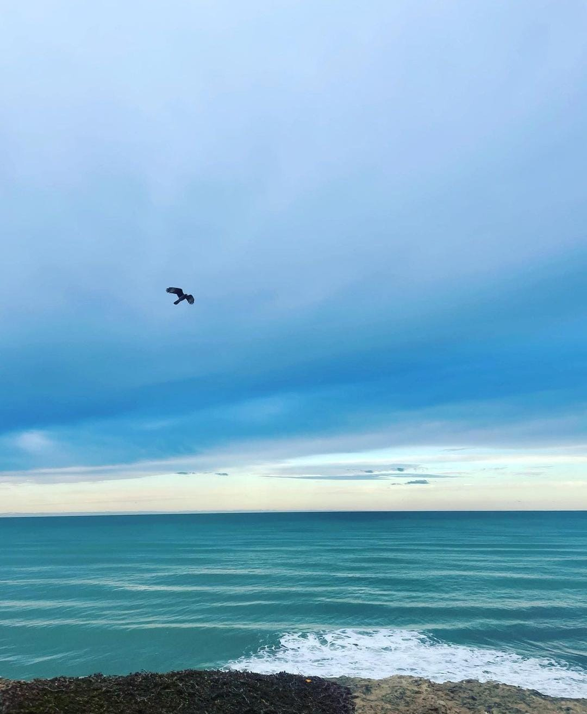 Foto: martinez.pepaa Foto: martinez.pepaa