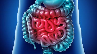 El intestino acumula químicos de medicamentos según estudio