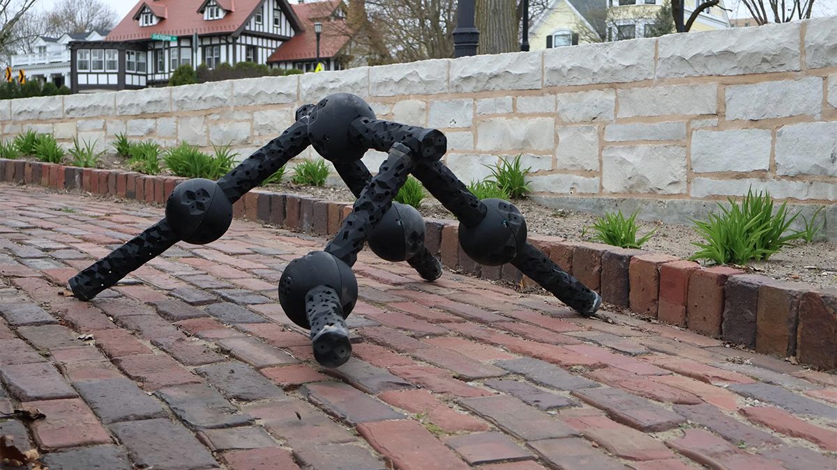 Un grupo de robotistas creó un robot transformer que gracias a la Inteligencia Artificial (IA) cambia de forma para adaptarse a cada escenario. Un grupo de robotistas creó un robot transformer que gracias a la Inteligencia Artificial (IA) cambia de forma para adaptarse a cada escenario.