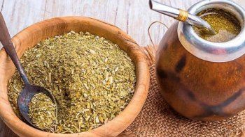 la anmat prohibio una yerba con bacterias que envenenan la anmat prohibio una yerba con bacterias que envenenan