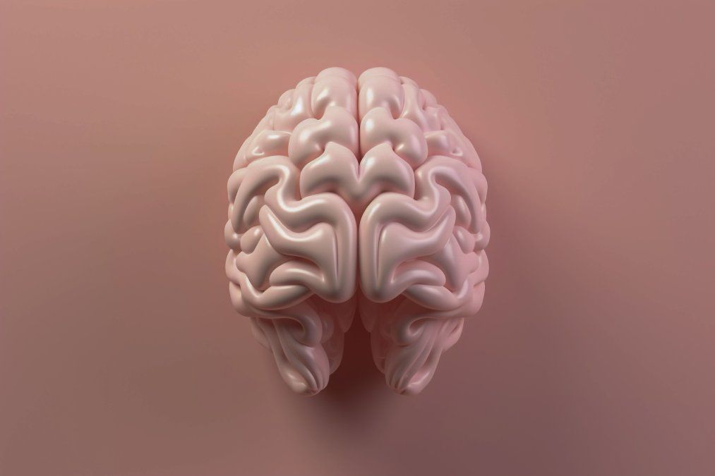 ¿Qué alimentos comer en la mañana para mejorar el cerebro?