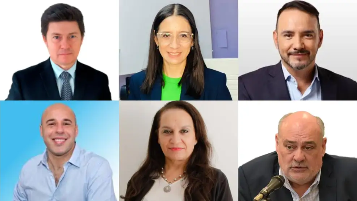 En el testeo de Federico González y Asociados, hay un 14% que asegura que no participará y casi un 7% que todavía no lo tiene decidido. &nbsp; &nbsp;