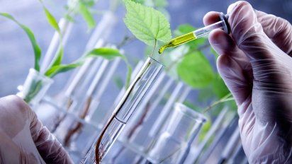 Las bacterias también pueden hacer cosas buenas