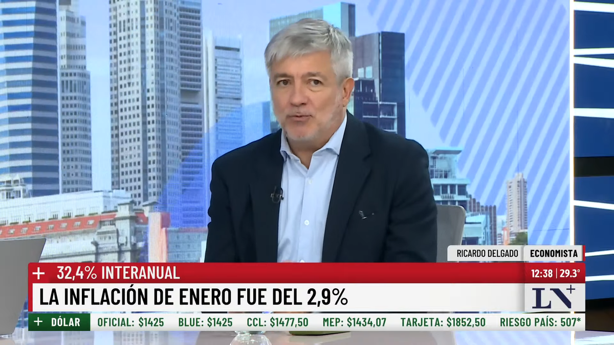 El economista y consultor Ricardo Delgado entrevistado este miércoles en LN+. El economista y consultor Ricardo Delgado entrevistado este miércoles en LN+.