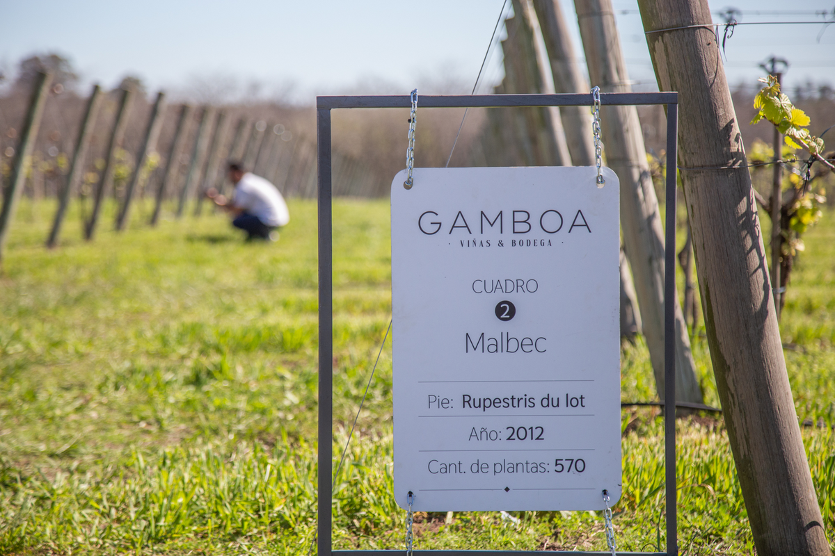 Una bodega espectacular a solo 1 hora de Buenos Aires. Una bodega espectacular a solo 1 hora de Buenos Aires.