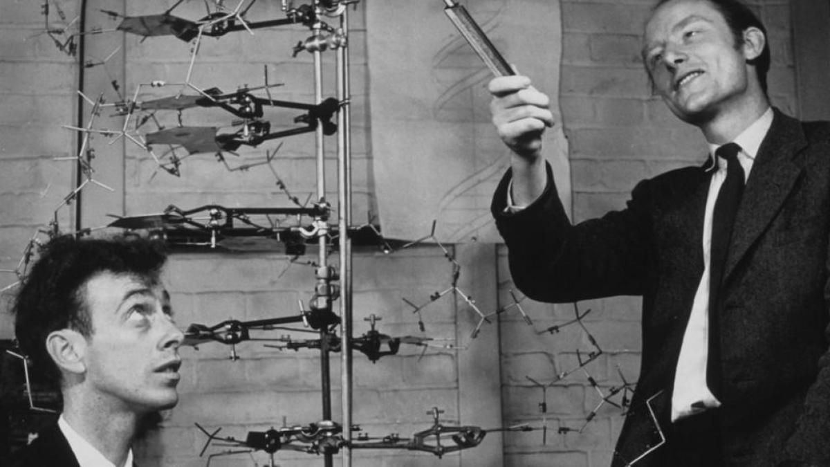 El científico Francis Crick cometió un error que derivó en la creación de la doble hélice de ADN que descifró el código de la vida. El científico Francis Crick cometió un error que derivó en la creación de la doble hélice de ADN que descifró el código de la vida.