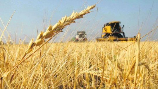 Desconcierto: 250 puestos, en juego, tras el repentino cierre de una multinacional del agro