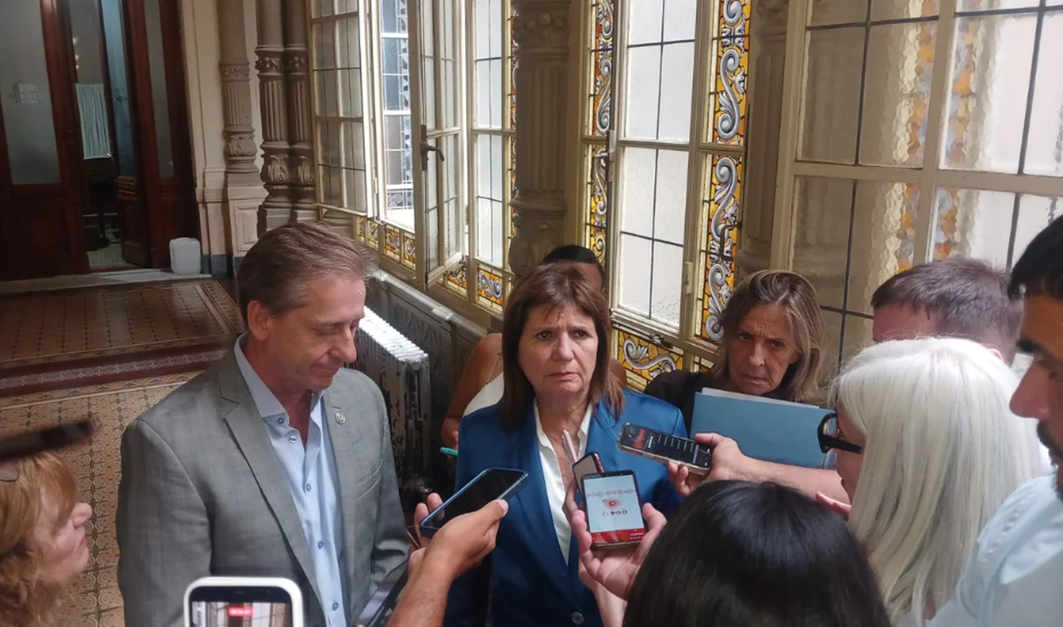 Patricia Bullrich habló con los medios, tras la reunión con jefes de bloques dialoguistas del Senado (Foto: NA). Patricia Bullrich habló con los medios, tras la reunión con jefes de bloques dialoguistas del Senado (Foto: NA).