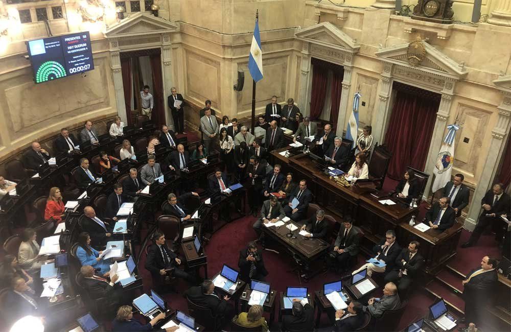 Se debate en el Senado la emergencia económica. Foto: @gabyspepe