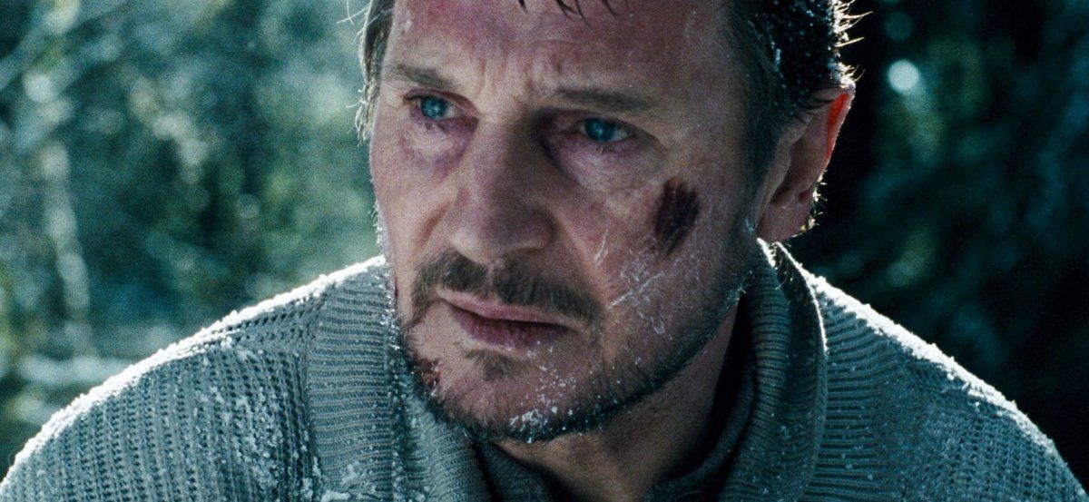 Exquisite Liam Neeson's Brutal & Grim Underrated Survival Thriller Is A Free Streaming Hit Scene Illustration Exquisite Liam Neeson's Brutal & Grim Underrated Survival Thriller Is A Free Streaming Hit Scene Illustration