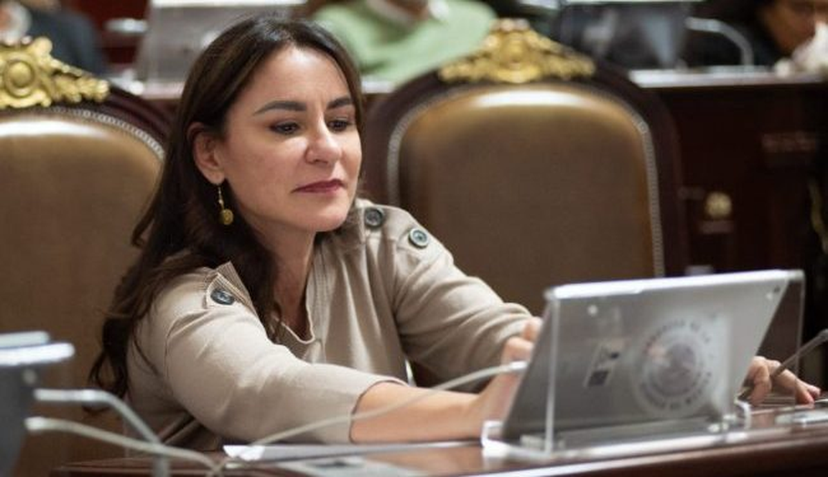 La diputada impulsora del proyecto de ley Leonor Gómez Otegui. La diputada impulsora del proyecto de ley Leonor Gómez Otegui.