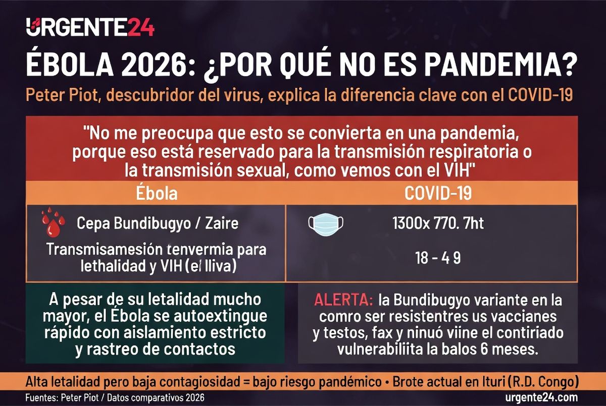 Realizado por Grok Ia sobre fuentes de Bloomberg. Realizado por Grok Ia sobre fuentes de Bloomberg.