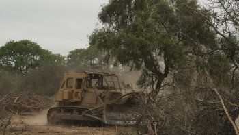 Fuerte denuncia contra Elsztain, Macri y Caputo por deforestación. Fuerte denuncia contra Elsztain, Macri y Caputo por deforestación.