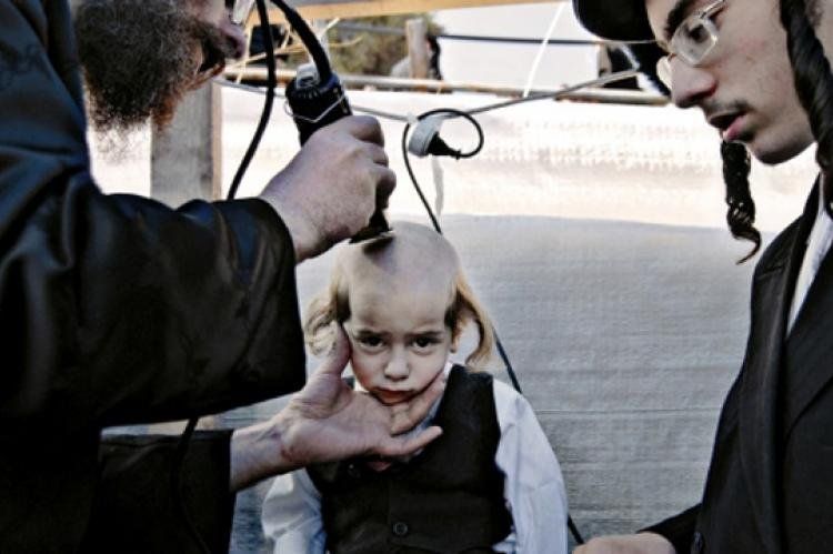 Los ultra-ortodoxos de Israel privilegian el estudio de la Torah sobre el mercado laboral.