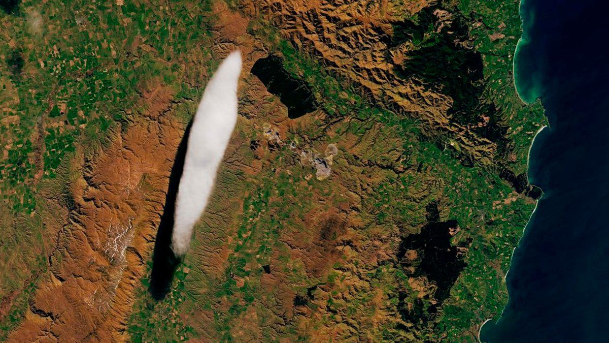 Un hallazgo muy raro.