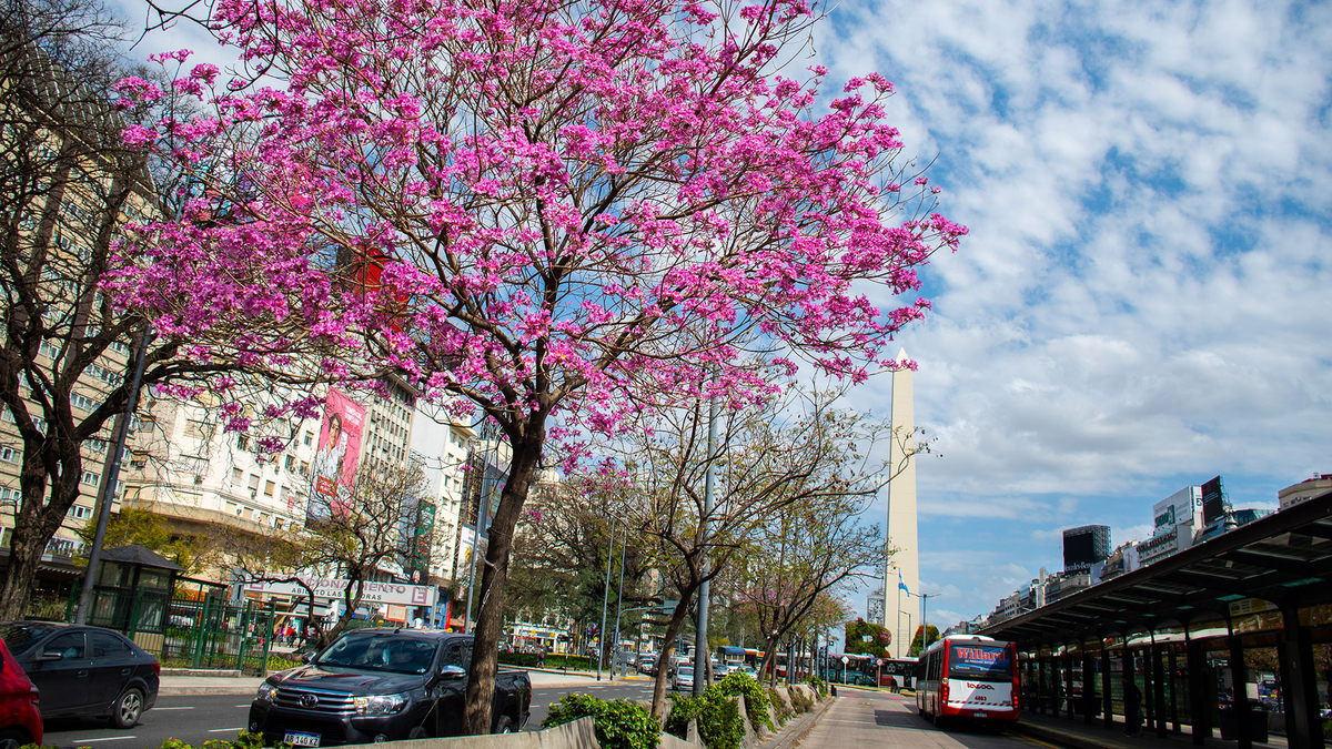 Día de la Primavera: Cómo estará el clima en Buenos Aires