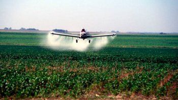 profundos desacuerdos acerca de las acusaciones contra el glifosato profundos desacuerdos acerca de las acusaciones contra el glifosato