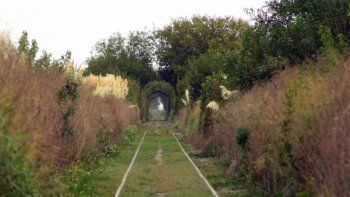 Un rincón mágico escondido en Cañuelas.Foto: InfoCÑ Un rincón mágico escondido en Cañuelas.Foto: InfoCÑ
